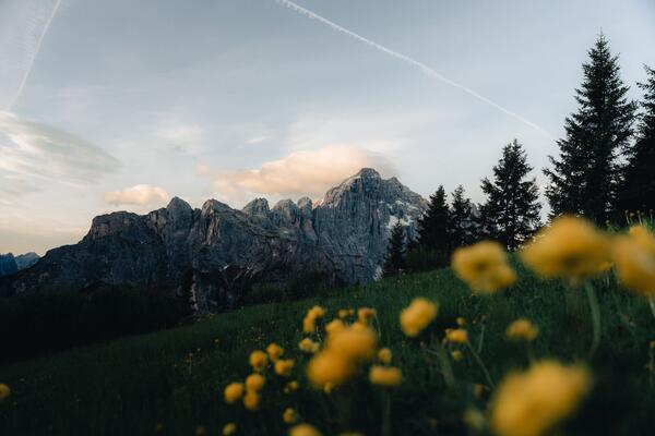 Alba Fertazza — foto 60