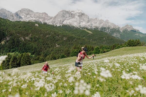 Coi e Fusine — foto 21