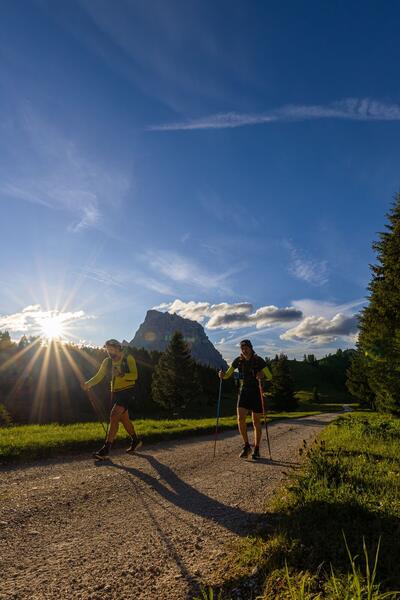 Malga Pioda — photo 14