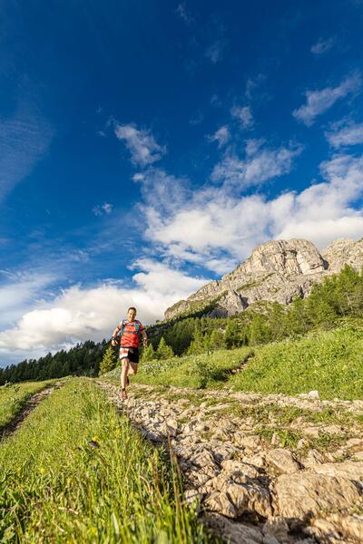 Malga Pioda — photo 15