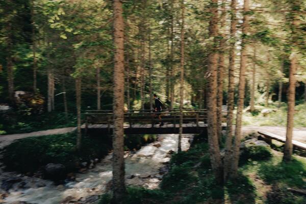Palanche — foto 34
